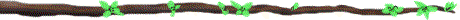 branch5.gif (3784 bytes)